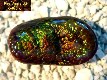Image Slaughter Mountain Fire Agate Gemstone SLG066