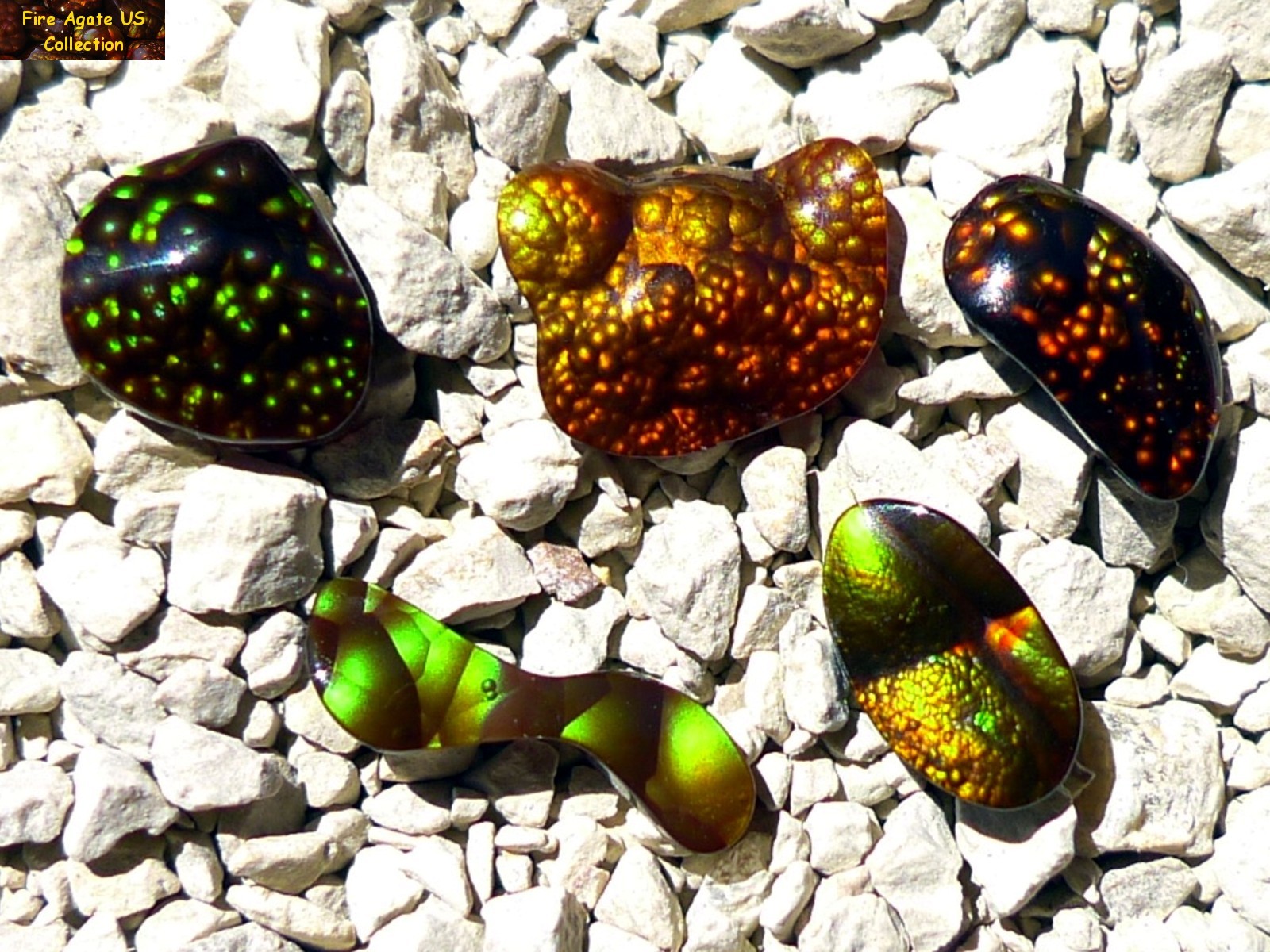 Group of Five Fire Agate Cabochons 4.6 Total Carat Weight Deer Creek Slaughter Mountain Arizona Gems SLG068 Photo 6