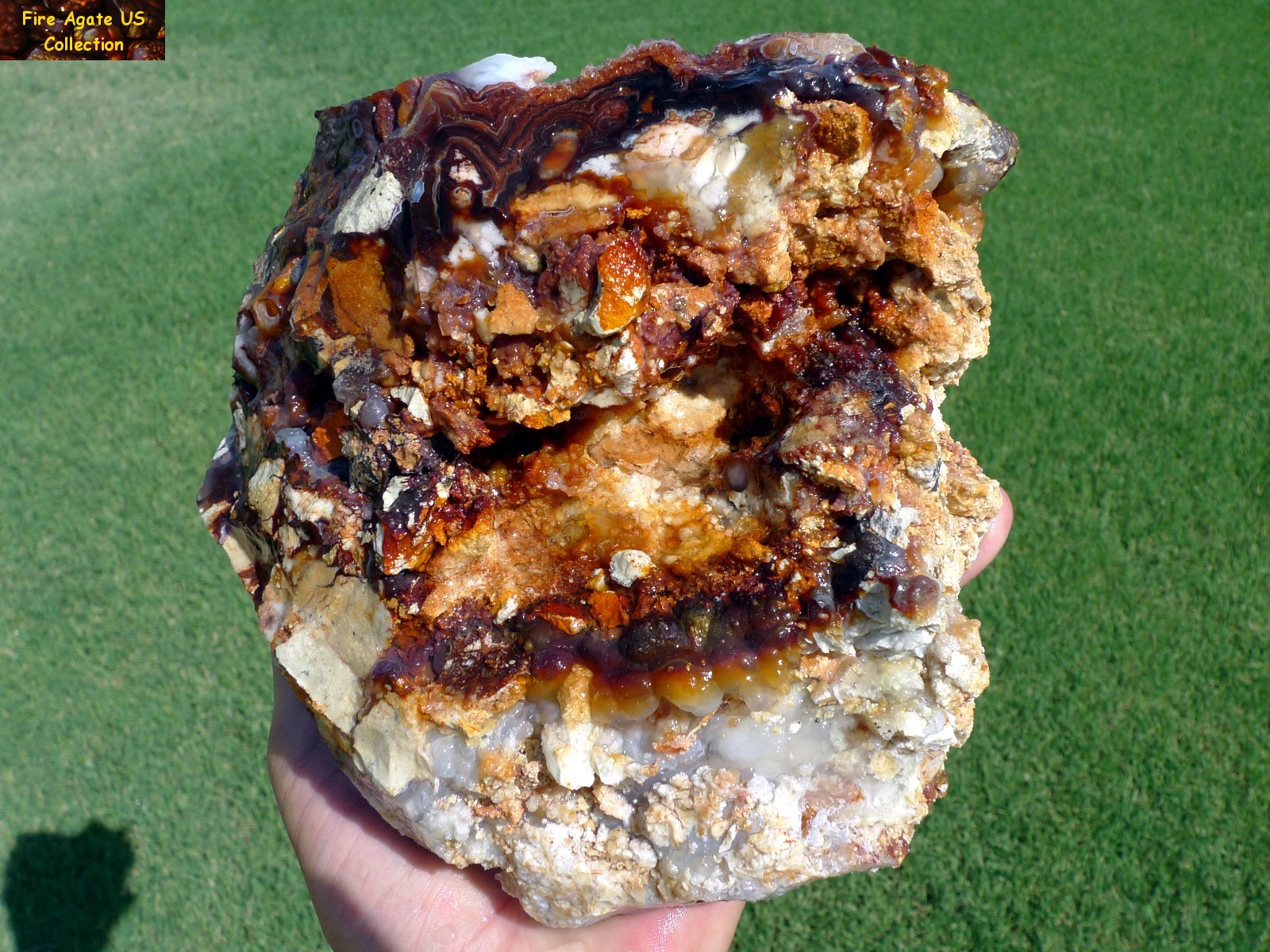 Massive 5.6 Pounds Fire Agate Rough Mineral Specimen Slaughter Mountain Arizona SLM016 Photo 4