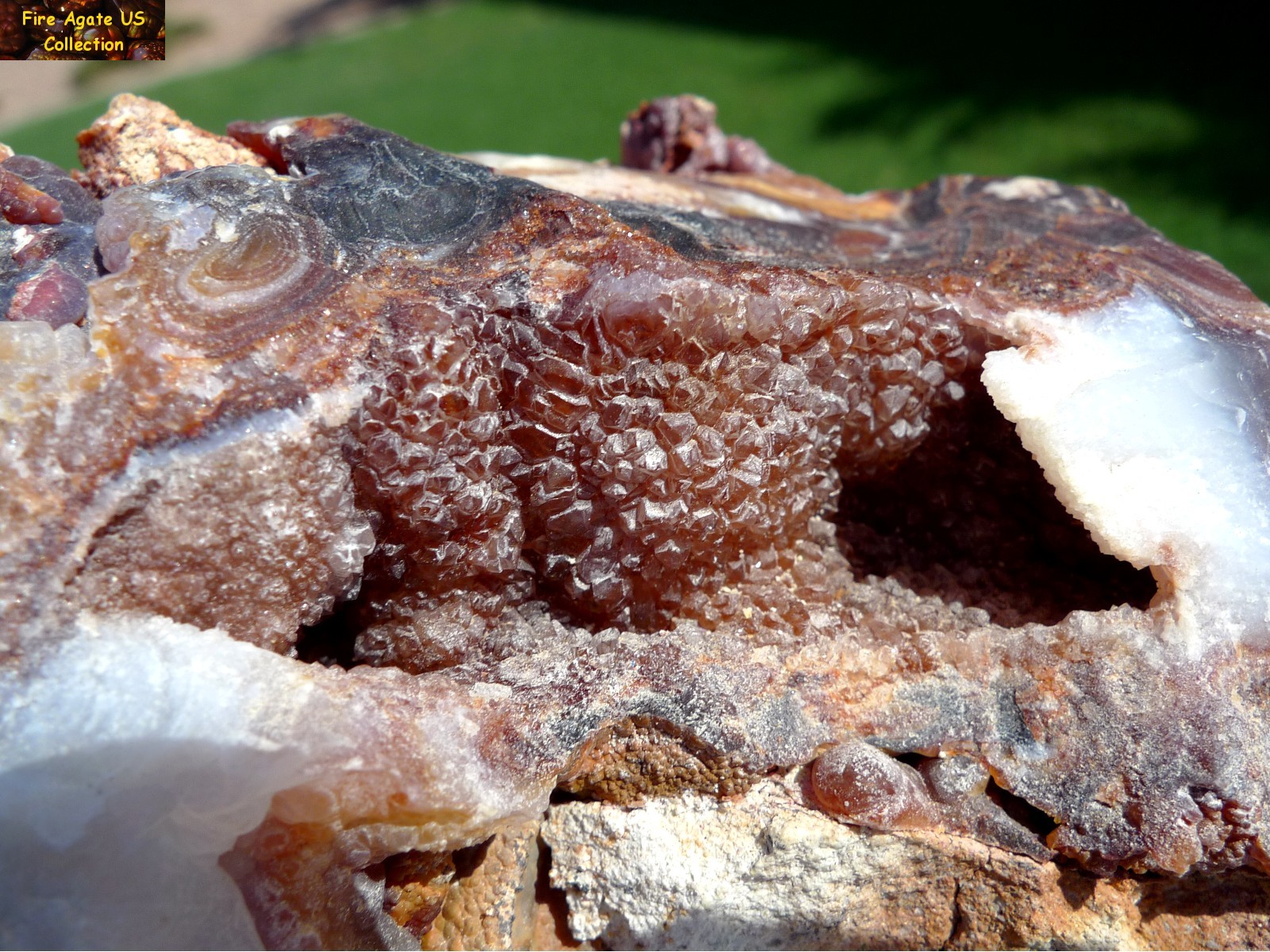 Massive 5.6 Pounds Fire Agate Rough Mineral Specimen Slaughter Mountain Arizona SLM016 Photo 9
