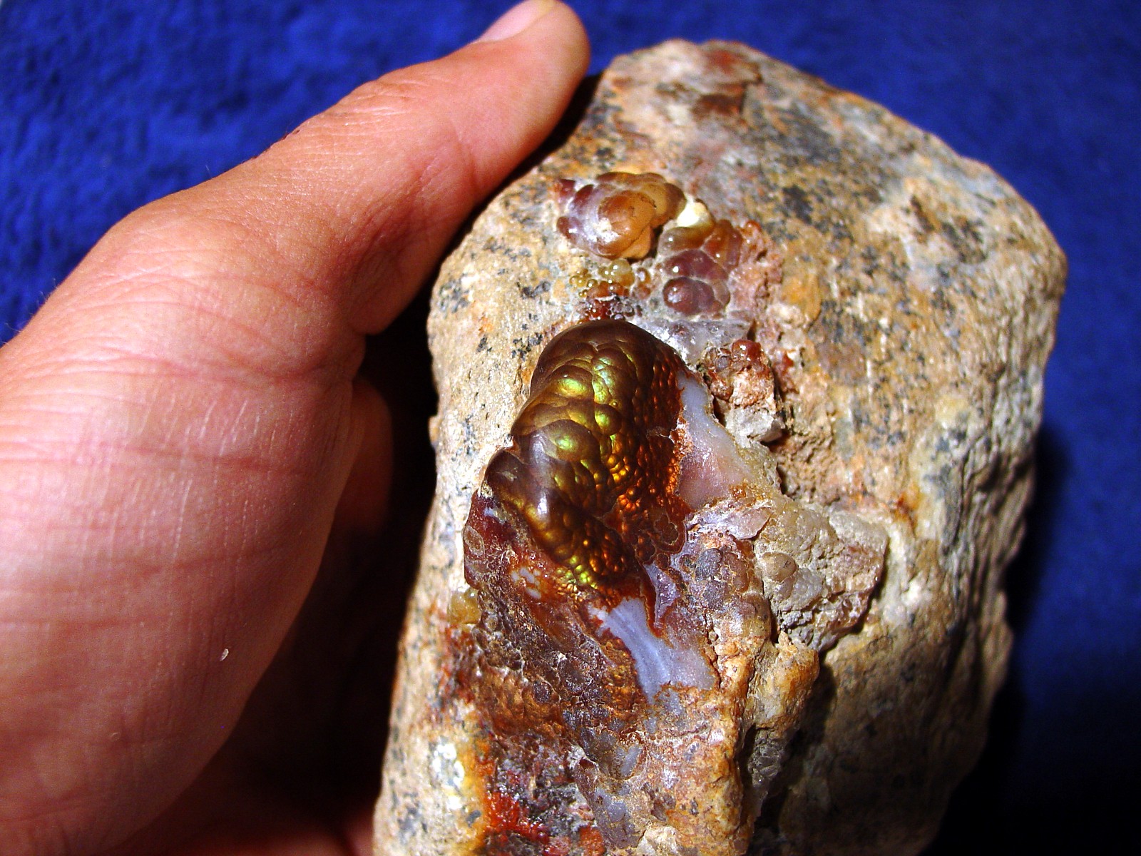 Fire Agate Gemstone Mineral Specimen Collectors Piece Deer Creek Arizona DCM011 Photo 8
