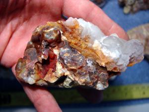 10 Pounds Slaughter Mountain Fire Agate Rough For Sale SLR100 Image 3 Stone 10