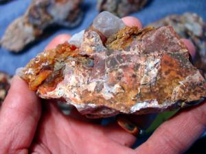 10 Pounds Slaughter Mountain Fire Agate Rough For Sale SLR100 Image 4 Stone 10