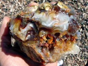 10 Pounds Slaughter Mountain Fire Agate Rough For Sale SLR100 Image 2 Stone 11