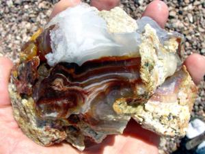10 Pounds Slaughter Mountain Fire Agate Rough For Sale SLR100 Image 2 Stone 12