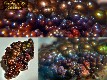Image Arizona Fire Agate Gemstone Mineral Specimen FAR261