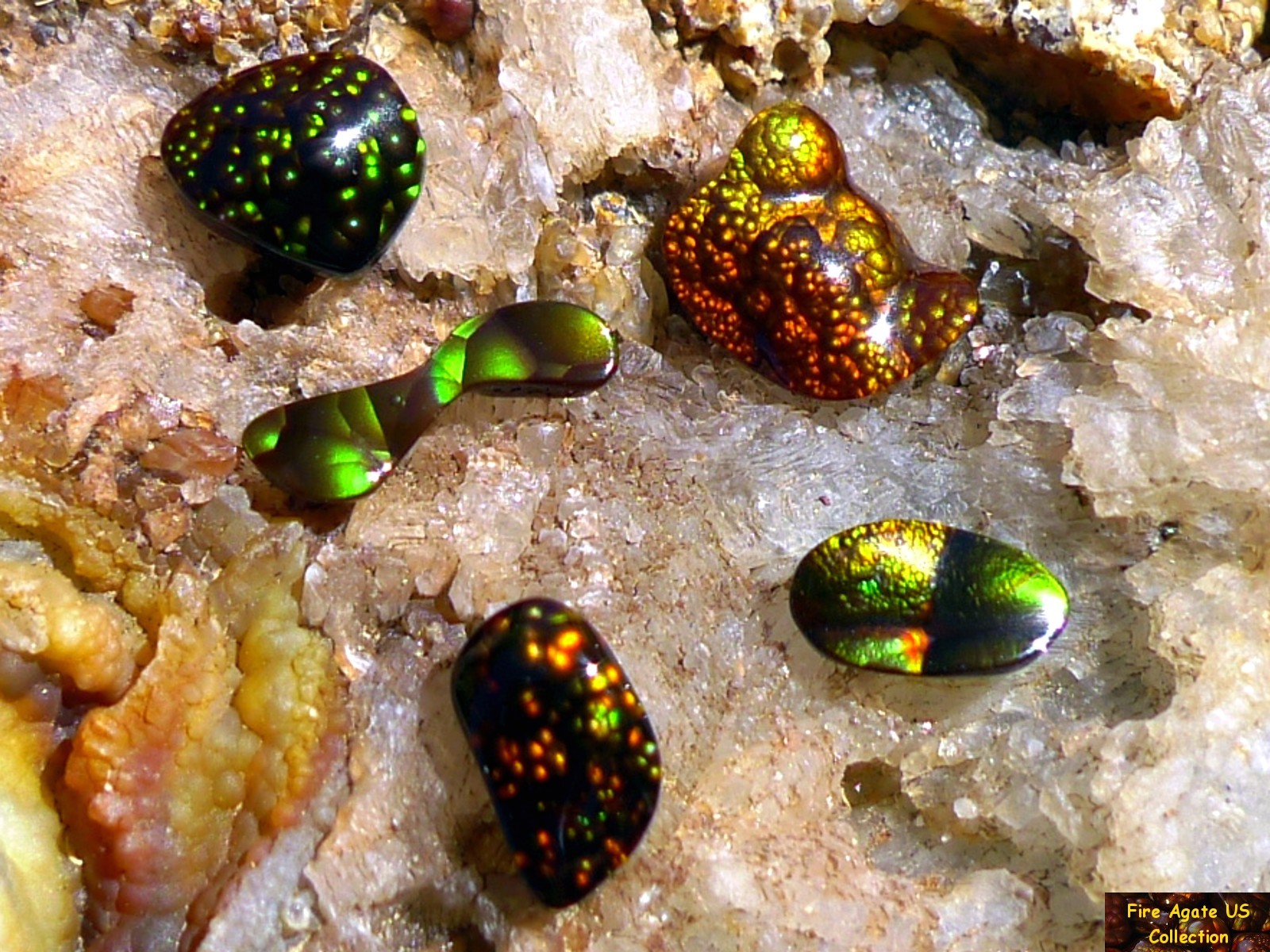 Group of Five Fire Agate Cabochons 4.6 Total Carat Weight Deer Creek Slaughter Mountain Arizona Gems SLG068 Photo 1