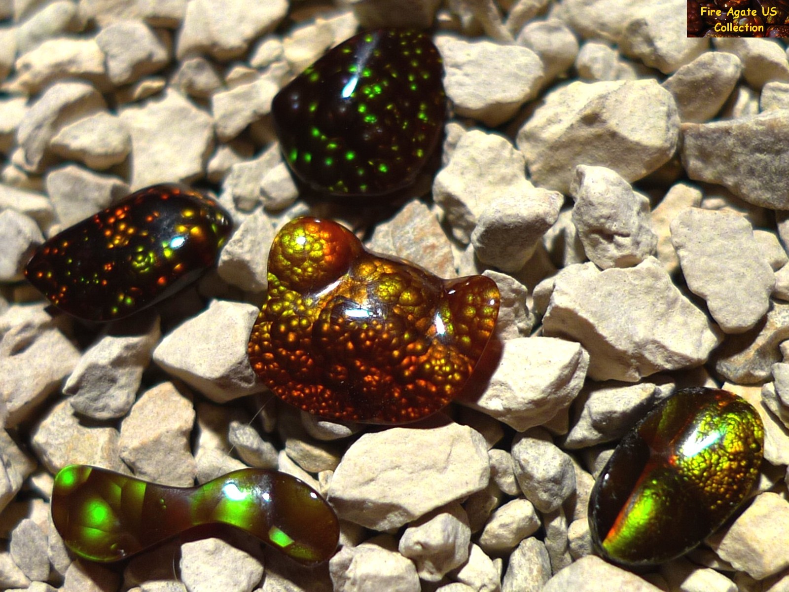 Group of Five Fire Agate Cabochons 4.6 Total Carat Weight Deer Creek Slaughter Mountain Arizona Gems SLG068 Photo 4