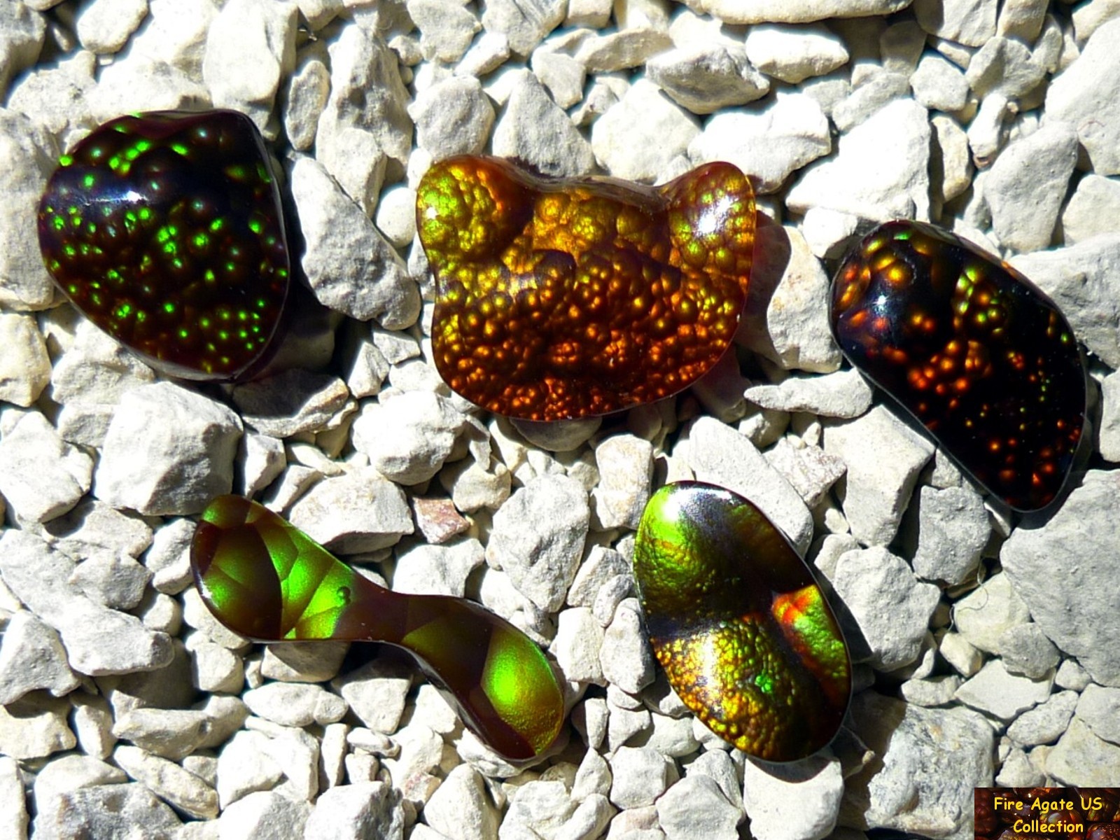 Group of Five Fire Agate Cabochons 4.6 Total Carat Weight Deer Creek Slaughter Mountain Arizona Gems SLG068 Photo 5