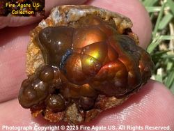 Small Picture 1 DCR012 High quality piece of all natural Deer Creek Fire Agate Rough