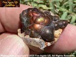 Small Picture 2 DCR012 A natural piece of Deer Creek fire agate rough shown dry.
