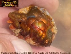 Small Picture 3 DCR012 A high quality piece of Deer Creek fire agate rough, shown wet, which weighs 10.7 grams and has visible fire.