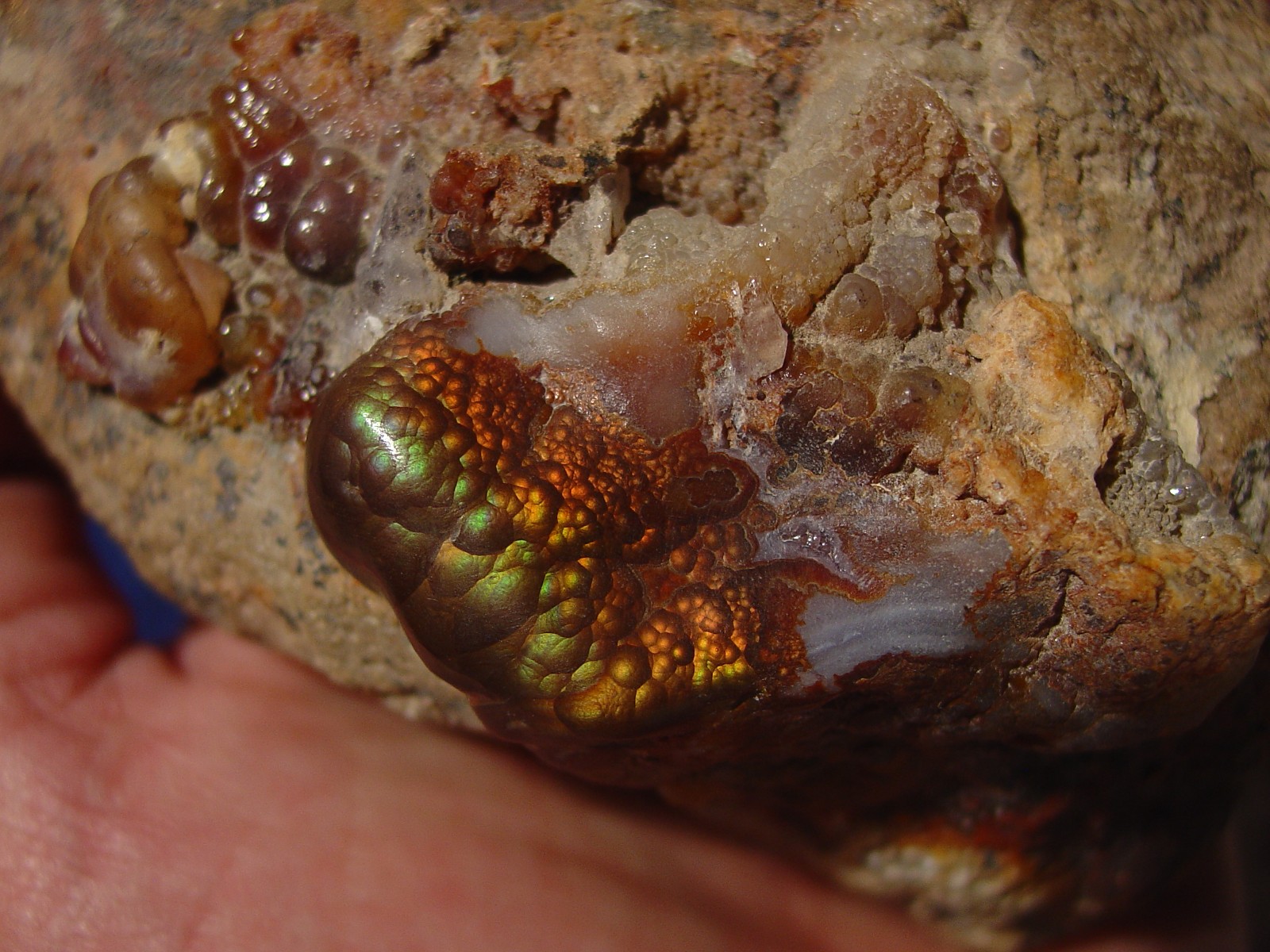 Fire Agate Gemstone Mineral Specimen Collectors Piece Deer Creek Arizona DCM011 Photo 7