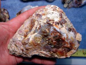 10 Pounds Slaughter Mountain Fire Agate Rough For Sale SLR100 Image 4 Stone 13