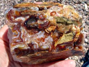 10 Pounds Slaughter Mountain Fire Agate Rough For Sale SLR100 Image 3 Stone 14