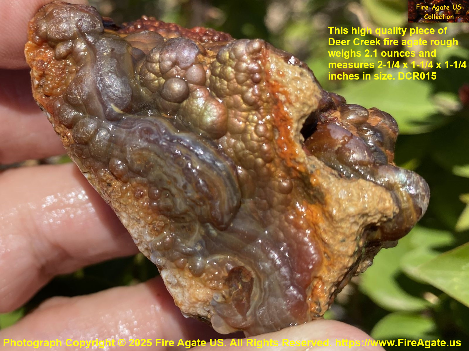 Deer Creek Fire Agate Rough